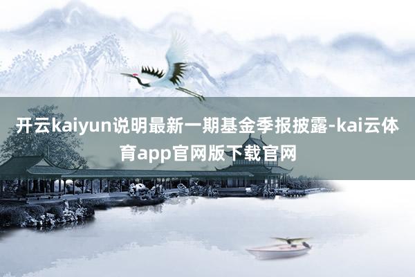开云kaiyun说明最新一期基金季报披露-kai云体育app官网版下载官网