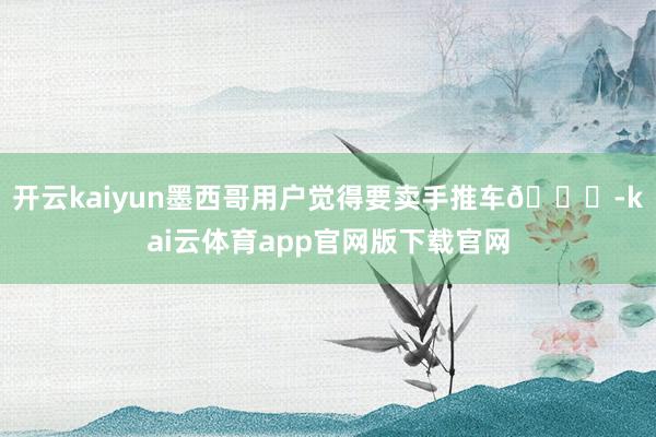 开云kaiyun墨西哥用户觉得要卖手推车🛒-kai云体育app官网版下载官网