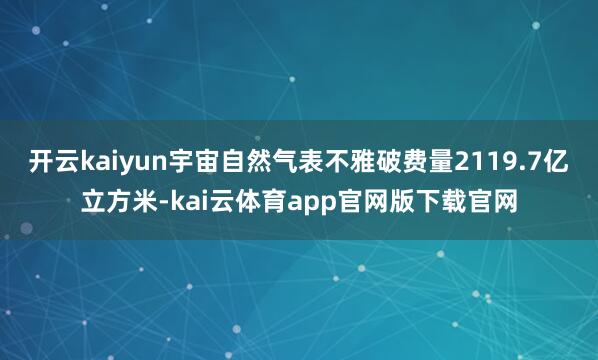 开云kaiyun宇宙自然气表不雅破费量2119.7亿立方米-kai云体育app官网版下载官网