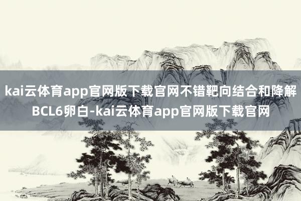 kai云体育app官网版下载官网不错靶向结合和降解BCL6卵白-kai云体育app官网版下载官网